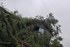 Déblaiement toiture arbre cassé tempete Dordogne