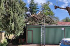 Intervention apres tempete arbre cassé sur la toiture