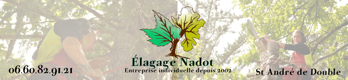 elagage Nadot elagueur Dordogne Montpon